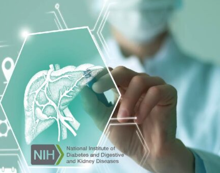 Xylyx Bio Awarded $2.45M NIH SBIR Grant from NIDDK to Facilitate Development of Effective Drugs for Fibrotic Liver Disease