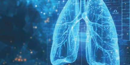 Lung-Mimetic Hydrofoam Sealant to Treat Pulmonary Air Leak