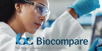 Guide to Extracellular Matrices (and How to Avoid Common Problems)