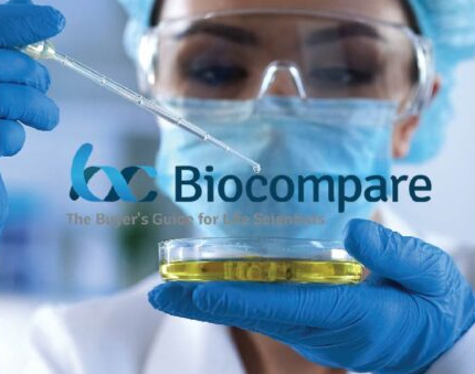 Extracellular Matrix: The Secret Sauce of 3D Cell Culture