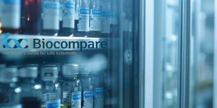 Patient-Derived Organoids Transform Precision Medicine