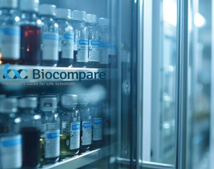 Patient-Derived Organoids Transform Precision Medicine