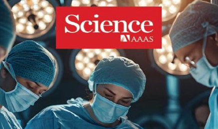 Damaged Donor Lungs Rescued with Pig Blood