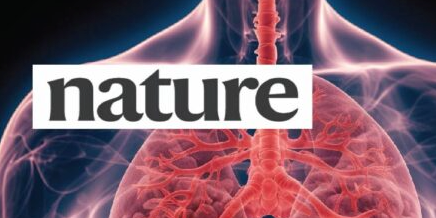 How to Use a Live Pig to Revitalize a Human Lung