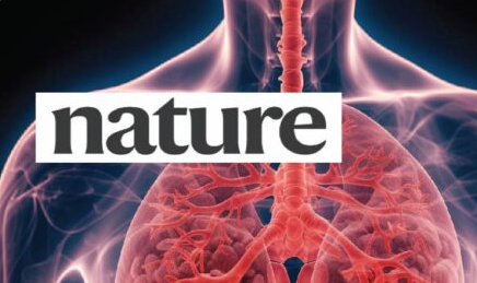 How to use a live pig to revitalize a human lung