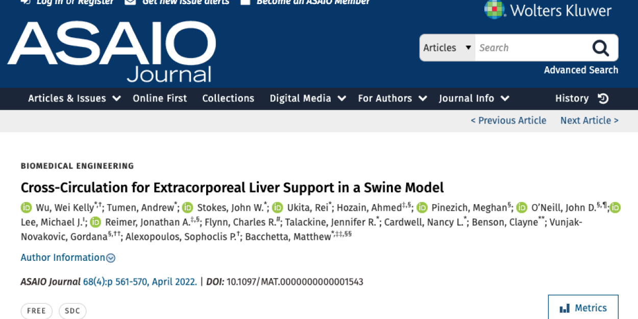 Cross-Circulation for Extracorporeal Liver Support in a Swine Model