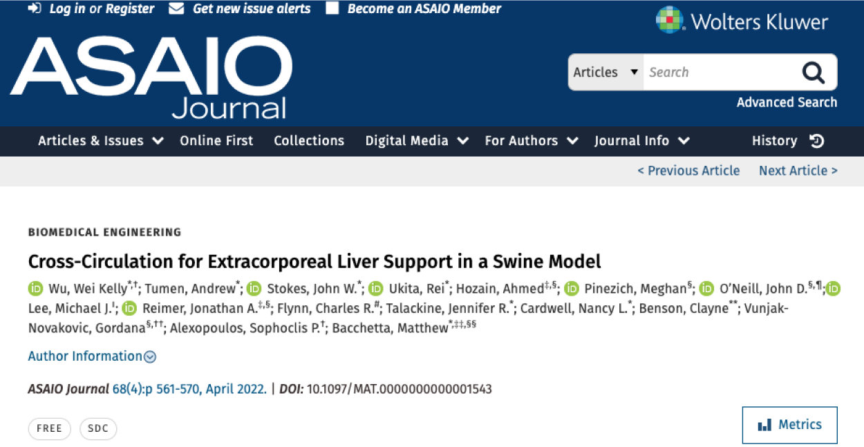 Cross-Circulation for Extracorporeal Liver Support in a Swine Model