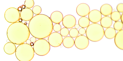 Ubiquinone (CoQ10)