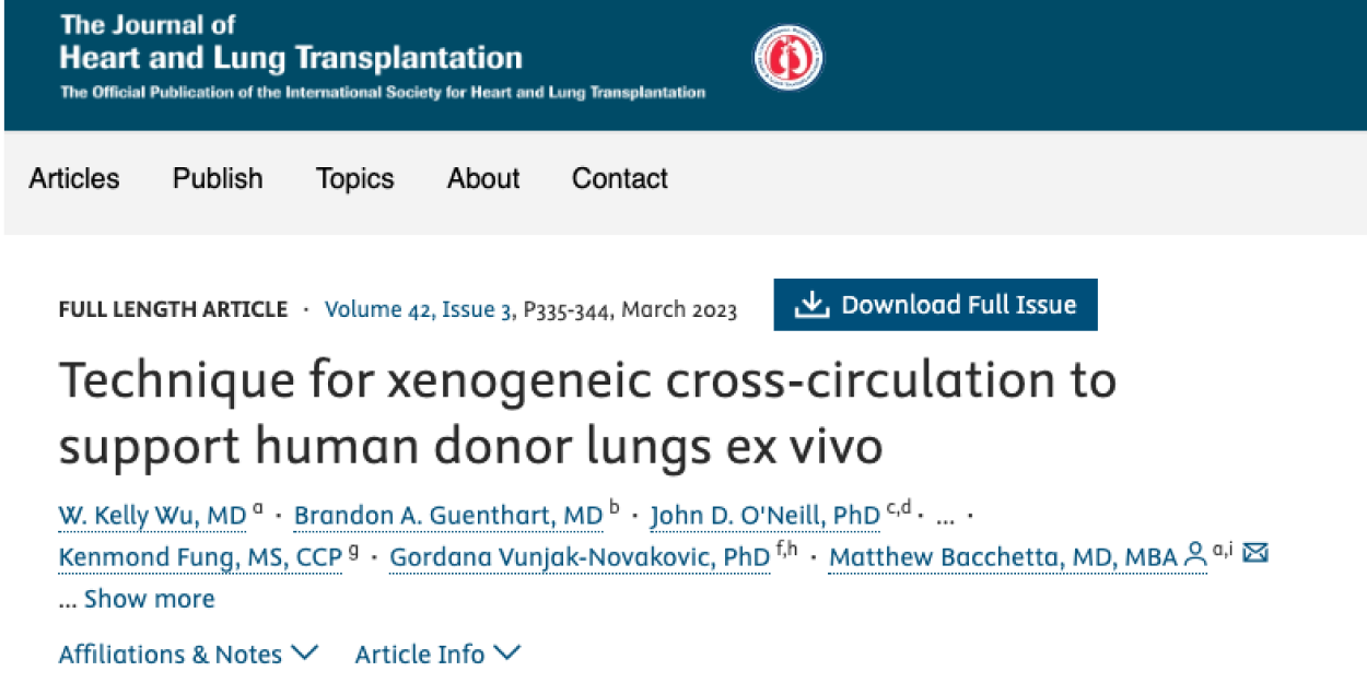 Technique for Xenogeneic Cross-Circulation to Support Human Donor Lungs Ex Vivo