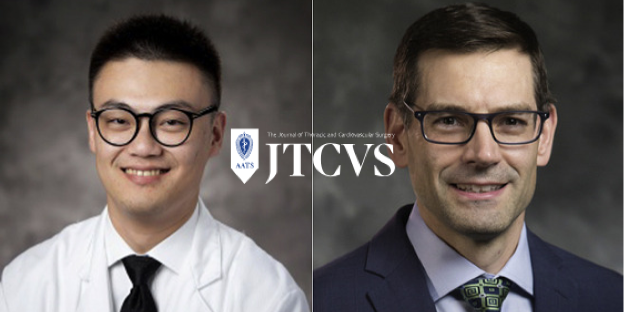 Commentary: The Ultimate Ex Vivo Lung Perfusion: Xenogeneic Cross-Circulation