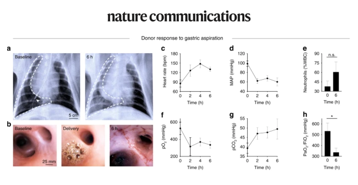 Regeneration of Severely Damaged Lungs Using an Interventional Cross-Circulation Platform