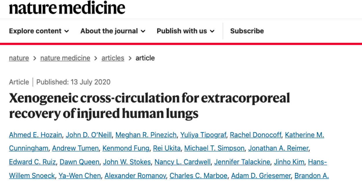 Xenogeneic Cross-Circulation for Extracorporeal Recovery of Injured Human Lungs