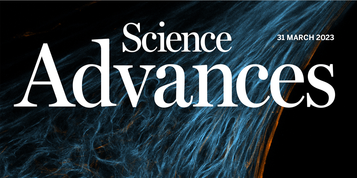 Immune Characterization of a Xenogeneic Human Lung Cross-Circulation Support System