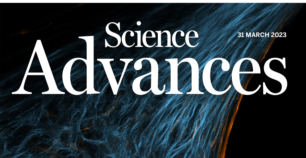 Immune Characterization of a Xenogeneic Human Lung Cross-Circulation Support System