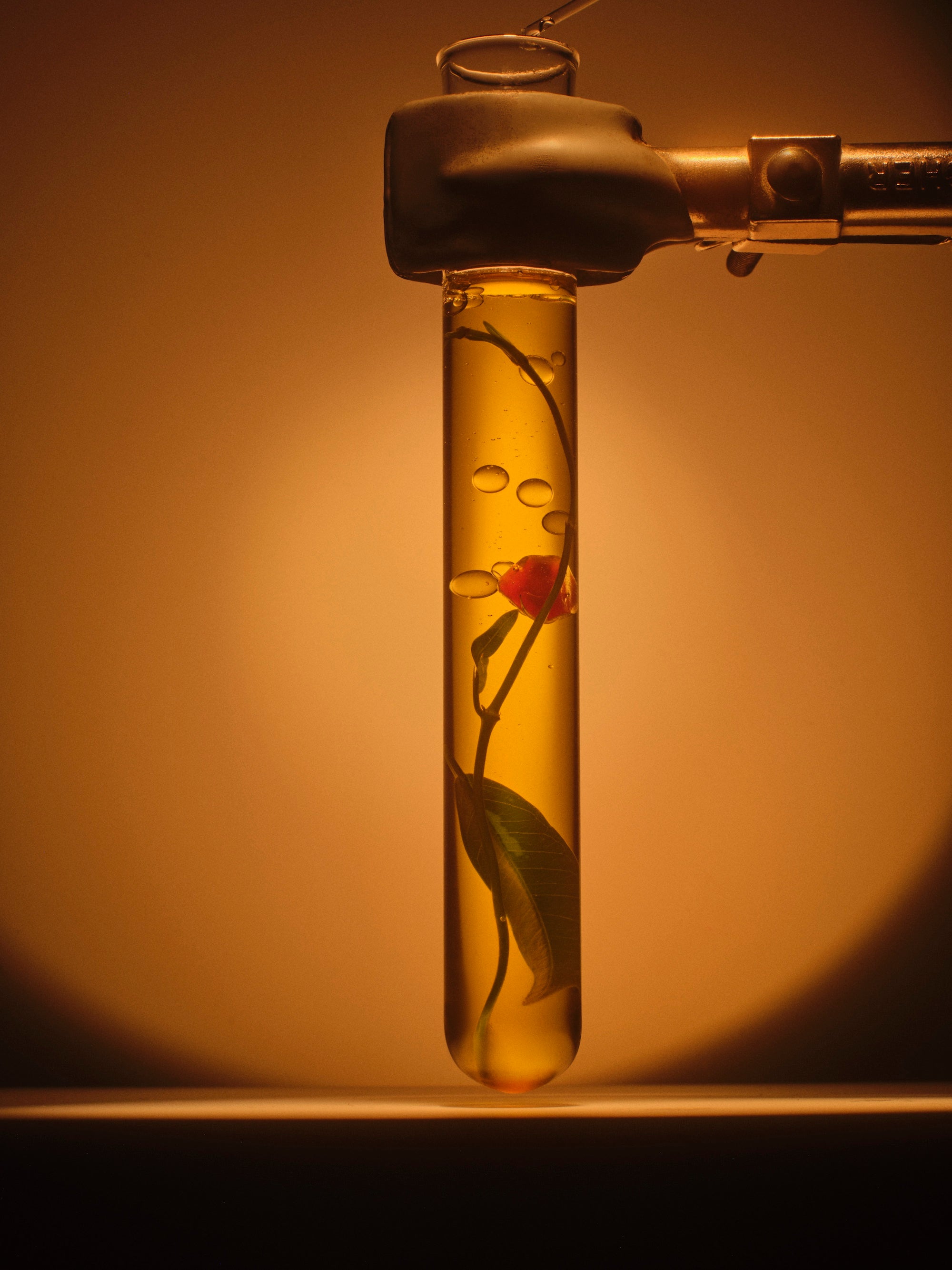 20240809_SweetChemistry_S15_0306_GIF.jpg