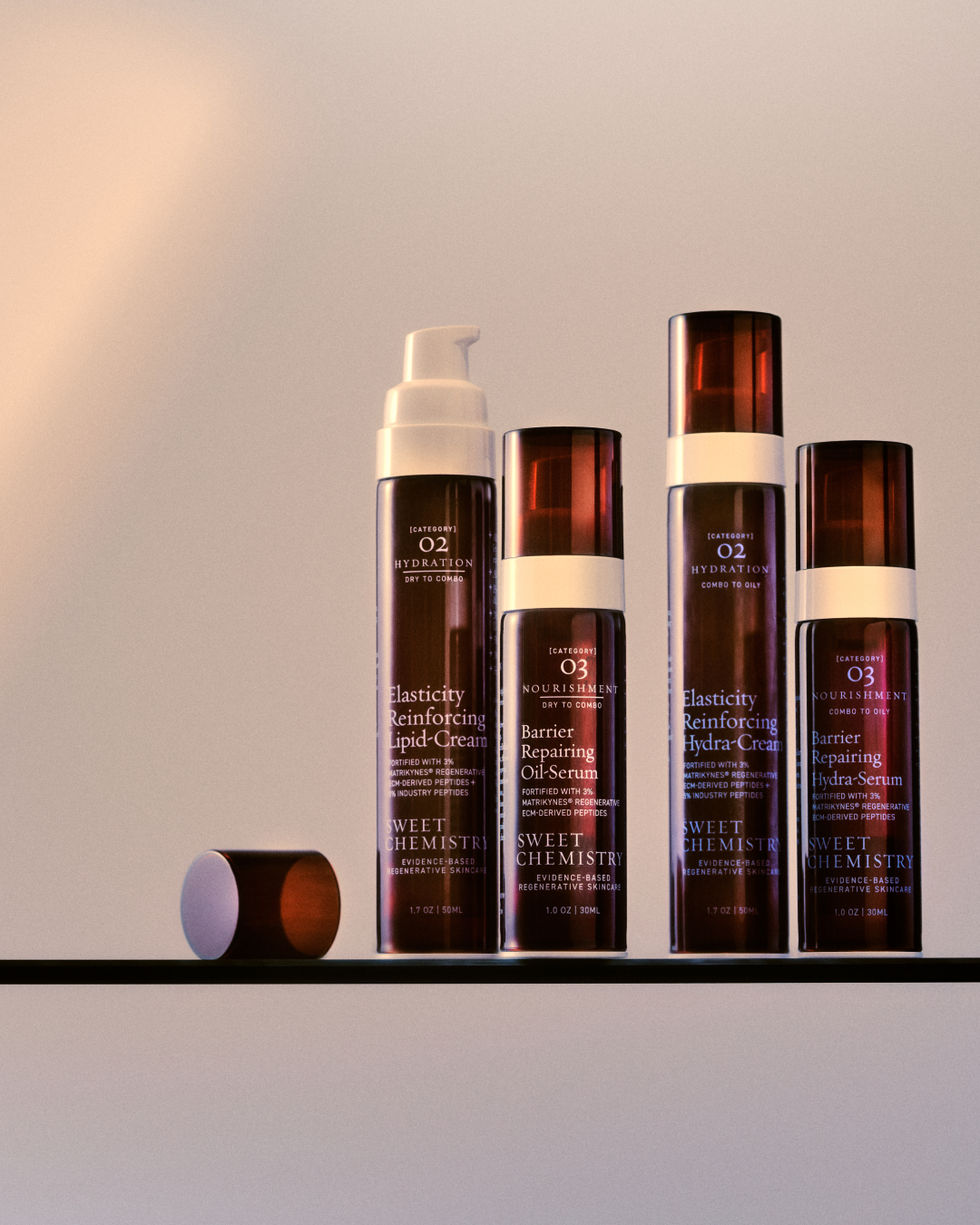 The Complete Max Repair System (PREORDER)